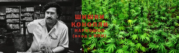 ГАЛЛЮЦИНОГЕННЫЕ ГРИБЫ Алексеевка