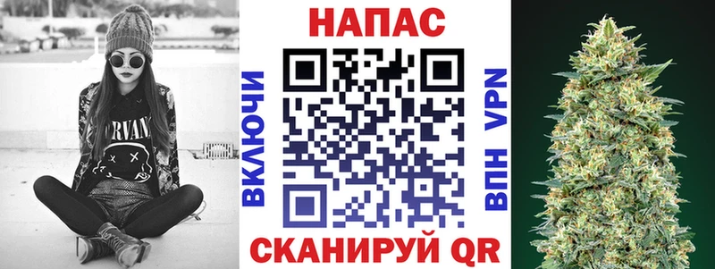 МАРИХУАНА планчик  Талдом 